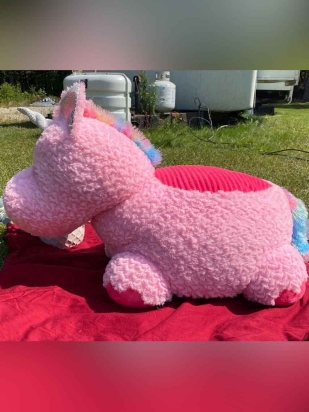 Stuffed Unicorn Seat for a little girl. 
Like New